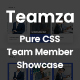 Teamza - Pure CSS Team Member Showcase - CSS / Miscellaneous