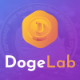 DogeLab - Cloud DogeCoin Mining Platform - PHP Scripts / Help and Support Tools