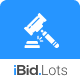Auction Lots for iBid Theme - WordPress / eCommerce / WooCommerce