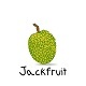 Jackfruit - Grocery, Fruits & Vegetable Delivery, Android eCommerce App with Node Js Technology - Mobile / Android