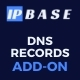 DNS Lookup Addon for IP Base - JavaScript