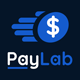 PayLab - Mobile Recharge And Utility Bill Payment Platform - PHP Scripts / Help and Support Tools