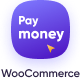 PayMoney - WooCommerce Addon - PHP Scripts / Add-ons