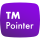 TM Pointer - WordPress Custom Cursor Plugin - WordPress / Interface Elements