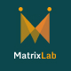 MatrixLab - Multilevel Matrix Platform - PHP Scripts / Help and Support Tools