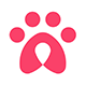 Pet Lover Social React Native App Template - Mobile