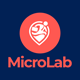 MicroLab - Micro Job Freelancing Platform - PHP Scripts / Help and Support Tools