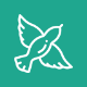 Bella | React Personal Resume & Portfolio System - JavaScript / Miscellaneous