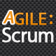 Agile Scrum - Project Issue Management - WordPress / Utilities