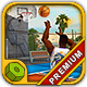 Street Basketball - HTML5 Sport Game - HTML5 / Games
