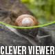 Clever Viewer - Before After Plugin for WordPress - WordPress / Galleries