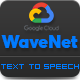 GCP Google Wavenet - Text to Speech Converter - PHP Scripts / Miscellaneous