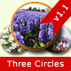 Three Circles - JavaScript / Sliders