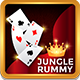 Jungle Rummy Template( Clone of Jungly Rummy) - Mobile / Android