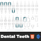 The Different Types of Dental Teeth Interactive Clickable - HTML5