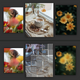Image Box Animation Effect - JavaScript / Images and Media