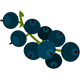 Elderberry - Meeting Script with Audio and Video via getUserMedia - Node.js, React, Mediasoup - JavaScript / Social N...