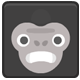 Animal Match - HTML5 / Games