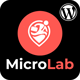 MicroLab - Micro Job Freelancing WordPress Plugin - WordPress / Utilities
