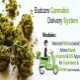 Budcars- Cannabis & Weed Delivery System - JavaScript