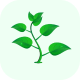 Plant Parent Assistant - iOS App - Water Reminder For Plants - Plants Care Guidance - Tips - Mobile / iOS