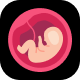 Sarogate - Surrogacy Flutter App UI Kit - Mobile