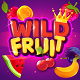Wild Fruit - Slot Machine Game Android Studio Project with AdMob Ads + Ready to Publish - Mobile / Android