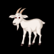 Catch The Sheep || Endless || Infinite || HTML 5 || Contruct game - HTML5 / Games