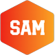 SS Accounts Manager - Financial Accounts - JavaScript / Miscellaneous