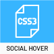 Social Media Icons Hover - CSS / Animations and Effects