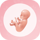 Pregnancy Tracker - Pregnancy Calculator - Ovulation Tracker - Baby Guide - Pregnancy Diet - Mobile / Android
