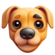 Pet Crush HTML5 Game - HTML5 / Games