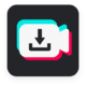 Tik Saver without watermark - Mobile / iOS