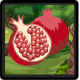 Fruit Drop Puzzle Construct 3 - HTML5 - HTML5 / Games
