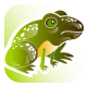 Frog Jumping - HTML5 Game Template - HTML5 / Games