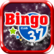 Bingo MYSQL Database HTML5 - HTML5 / Games