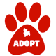 PetPal - Pet Adoption Services App Flutter Mobile Template for Android & iOS - Mobile / Flutter