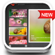 Simple Portofolio Viewer - Javascript XML Gallery - JavaScript / Images and Media