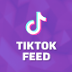 TikTok User Videos Feed for WordPress - WordPress / Social Networking