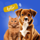 Pet Voice Translator | Dog & Cat Voice Translator | Flutter Application - Mobile / Flutter