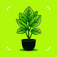 AI Plant İdentifier Full Application - Mobile / iOS