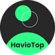 HavioTop - Online Recharge & Payment Platform - PHP Scripts / Miscellaneous