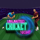 Unlimited Cricket Night - HTML5 / Games