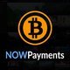 NowPayments For Paid Member Subscriptions - WordPress / Membership