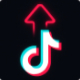 TikTok AutoUploader – Smart Video Upload Automation - Apps / Windows