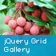 jQuery Fullscreen Grid Gallery - JavaScript / Images and Media