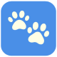 Peticare - Flutter Pet Care App UI Kit - Mobile / Flutter