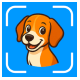 AI-Powered Pet Breed Identifier Flutter App | Care Guide & Insights - Mobile / Flutter