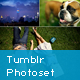 Tumblr Photoset Grid/Masonry Gallery for WordPress - WordPress / Galleries