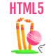 Cricket Blitz – Arcade HTML5 Game Template - HTML5 / Games